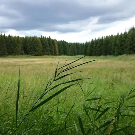 Gemuetliche Im Gruenen Am Apartmán *